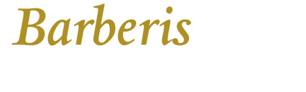 barberis-logo
